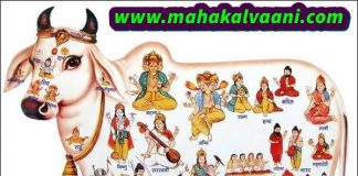 Gau Mata Ki Mahima गौ माता से जुड़ी कुछ रोचक जानकारी