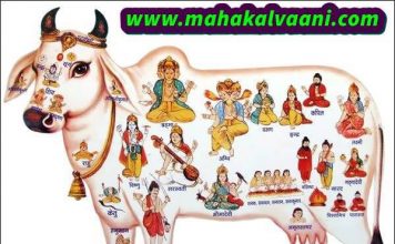 Gau Mata Ki Mahima गौ माता से जुड़ी कुछ रोचक जानकारी