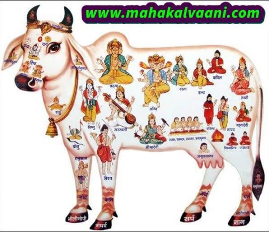 Gau Mata Ki Mahima गौ माता से जुड़ी कुछ रोचक जानकारी